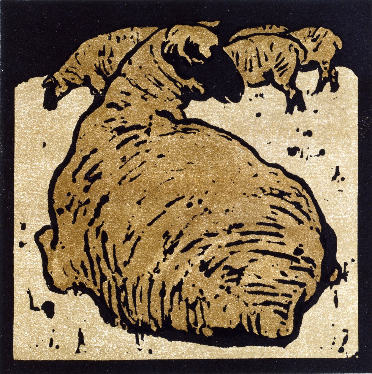 The Simple Sheep, illustration från 