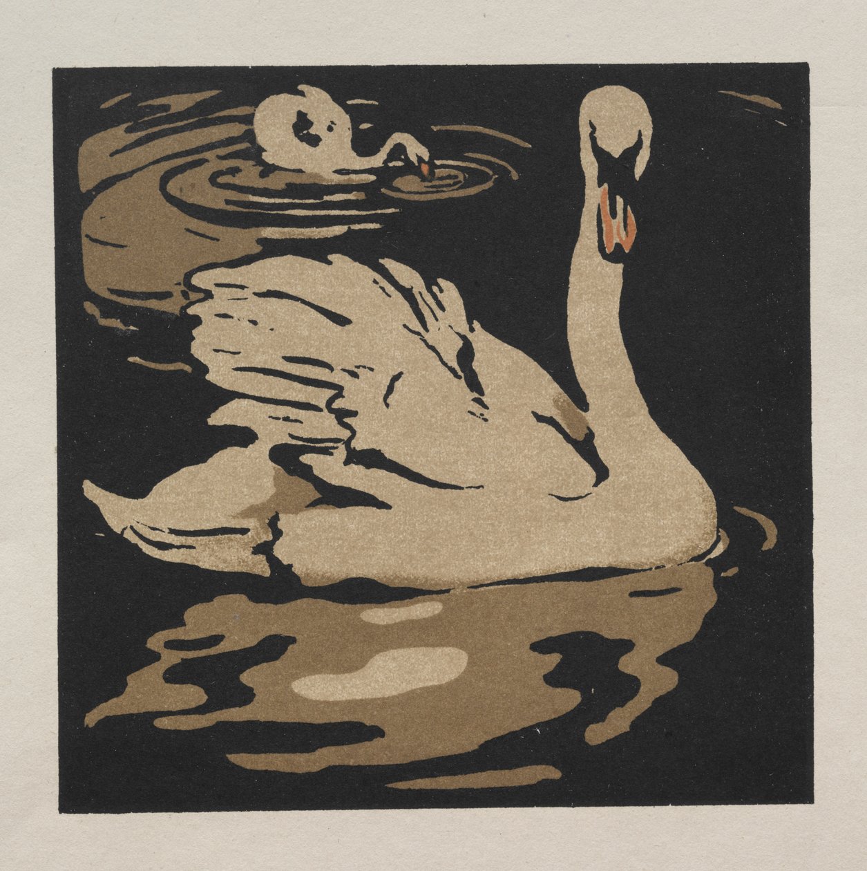 The Square Book of Animals: The Beautiful Swan av William Nicholson