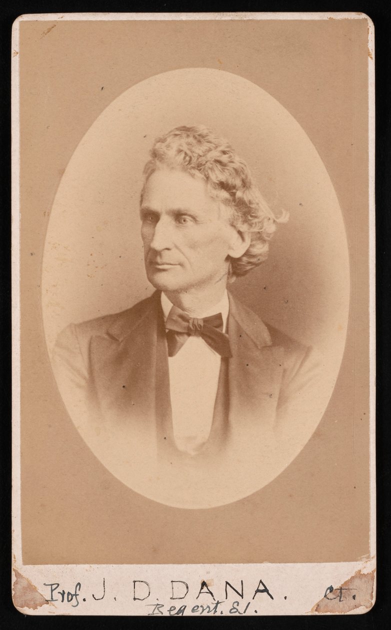 Porträtt av James Dwight Dana 1813-1895, före 1891. av William Notman