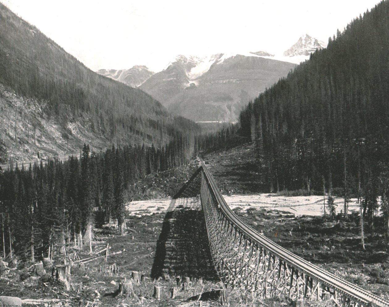 The Rockies: Loop som visar fyra spår, 1895. av William Notman and Son
