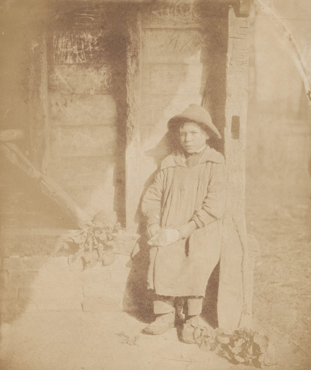 Pojke skalar kålrot,ca. 1854 (foto) av William P Sherlock