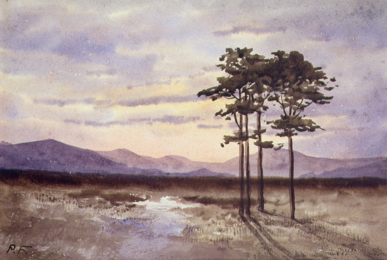 Sunset, County Sligo (akvarell på papper) av William Percy French