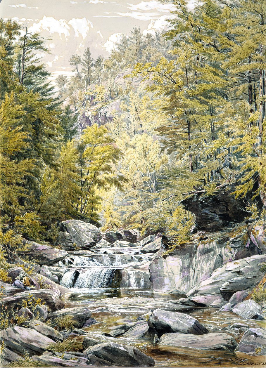 Catskill Clove, 1856. av William Rickarby Miller