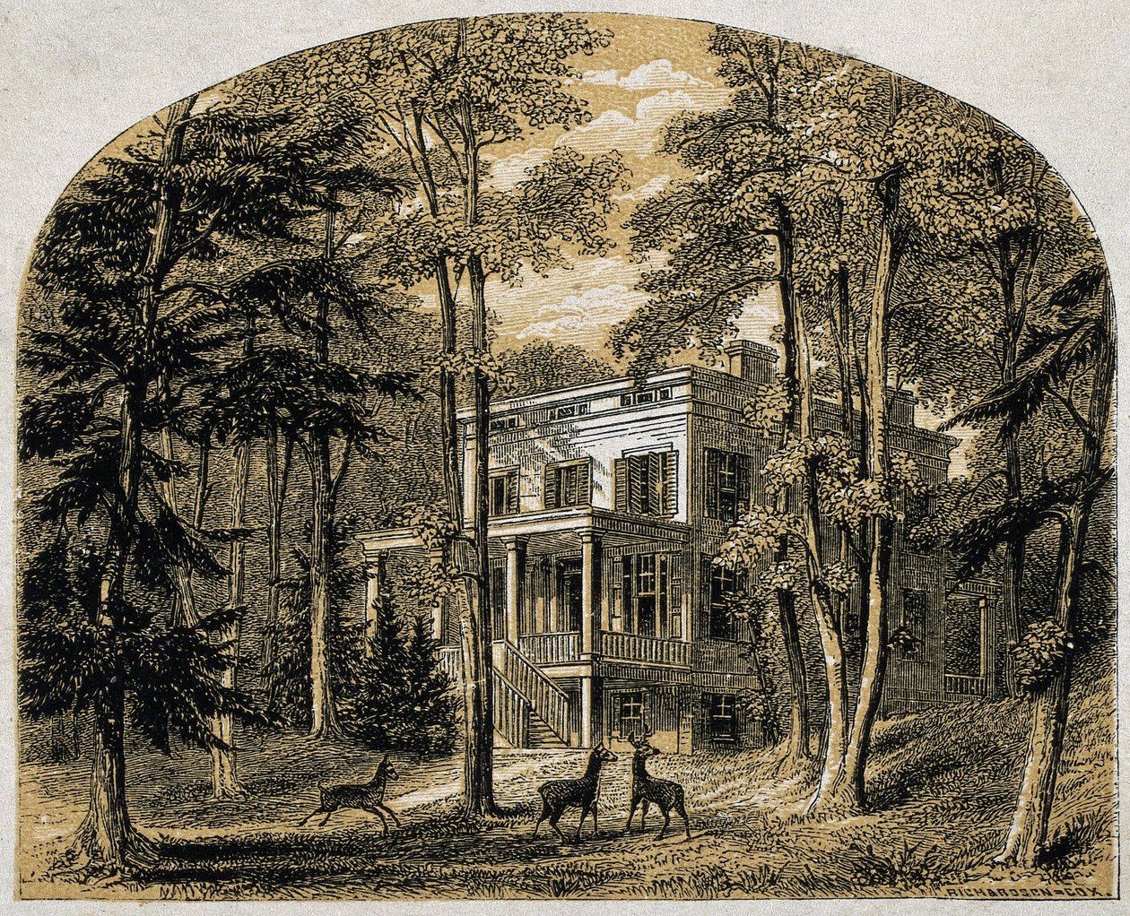 James John Audubons hem "Minniesland", pub. C 1861 (trägravyr) av William Rickarby Miller