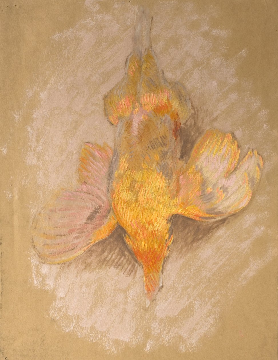 Study of a Fowl for Highland Raiders, c.1918 (olja på papper) av William Shackleton