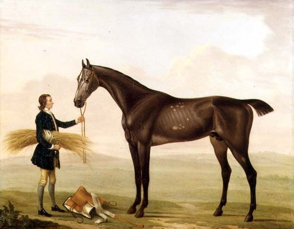 En dapple grå hingst som hålls av en brudgum av William Shaw