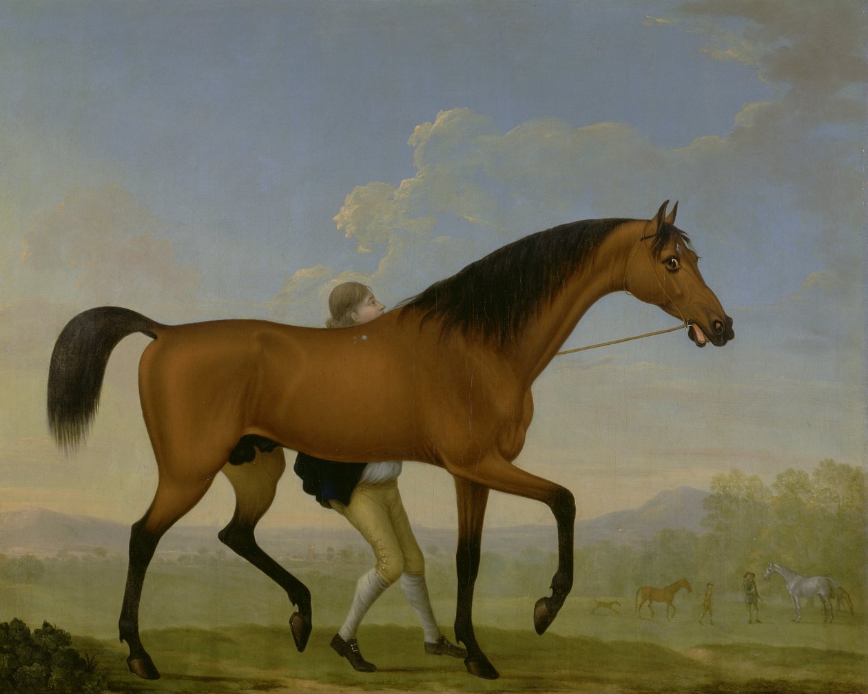 Hertigen av Ancasters Bay-hingst, blank, går mot ett sto av William Shaw