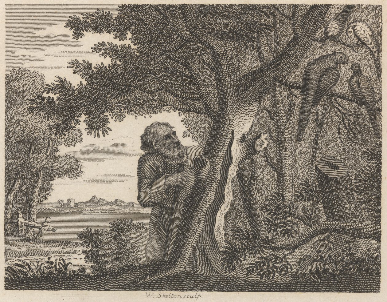 Filosofen och fasanerna av William Skelton