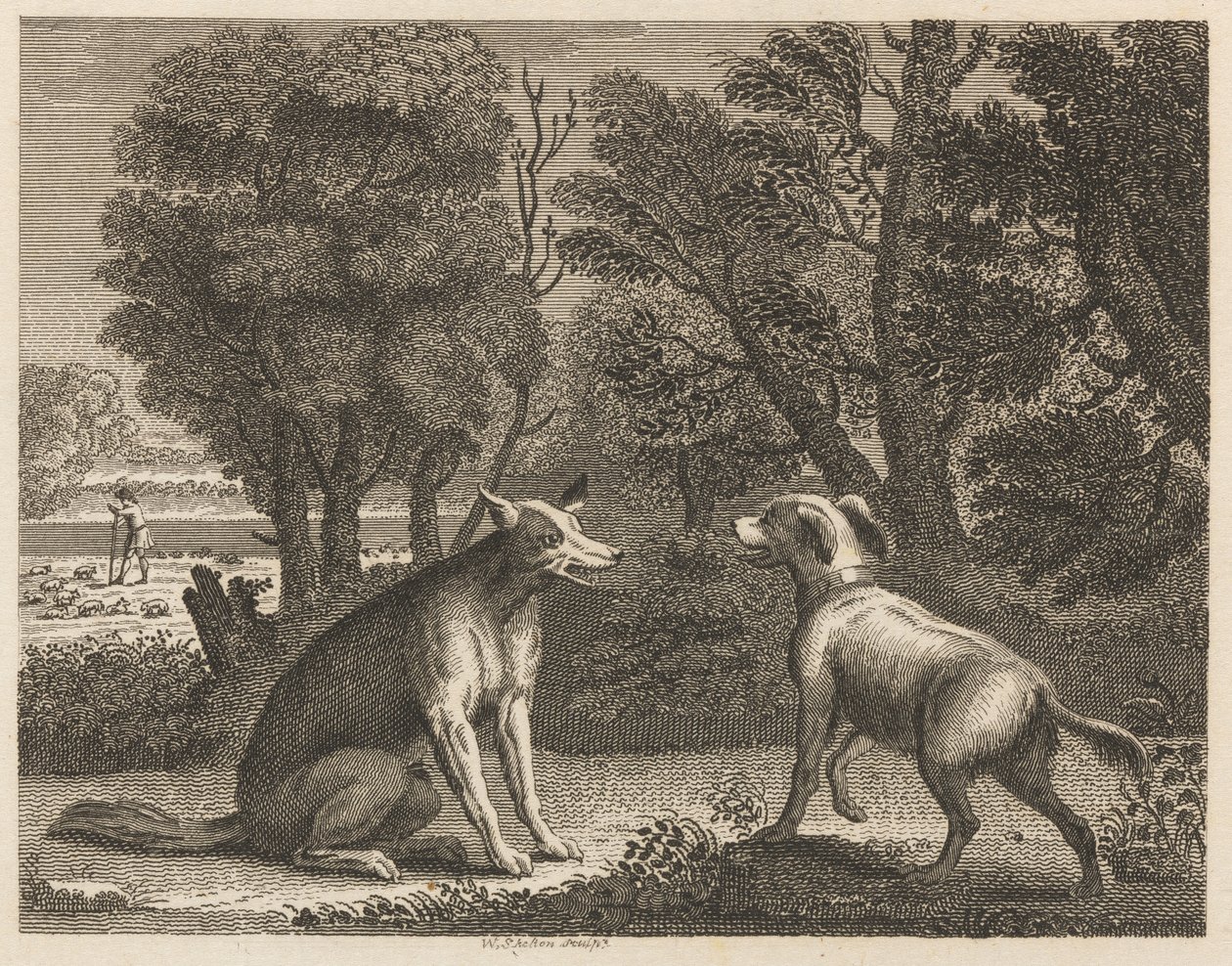 Herdens hund och vargen av William Skelton