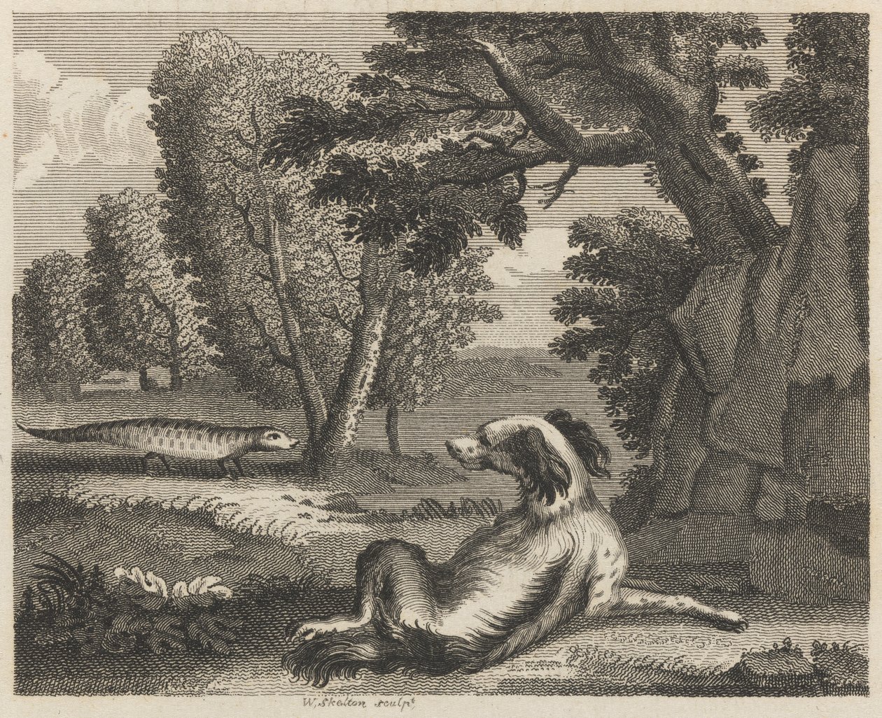 Spanieln och kameleonten av William Skelton