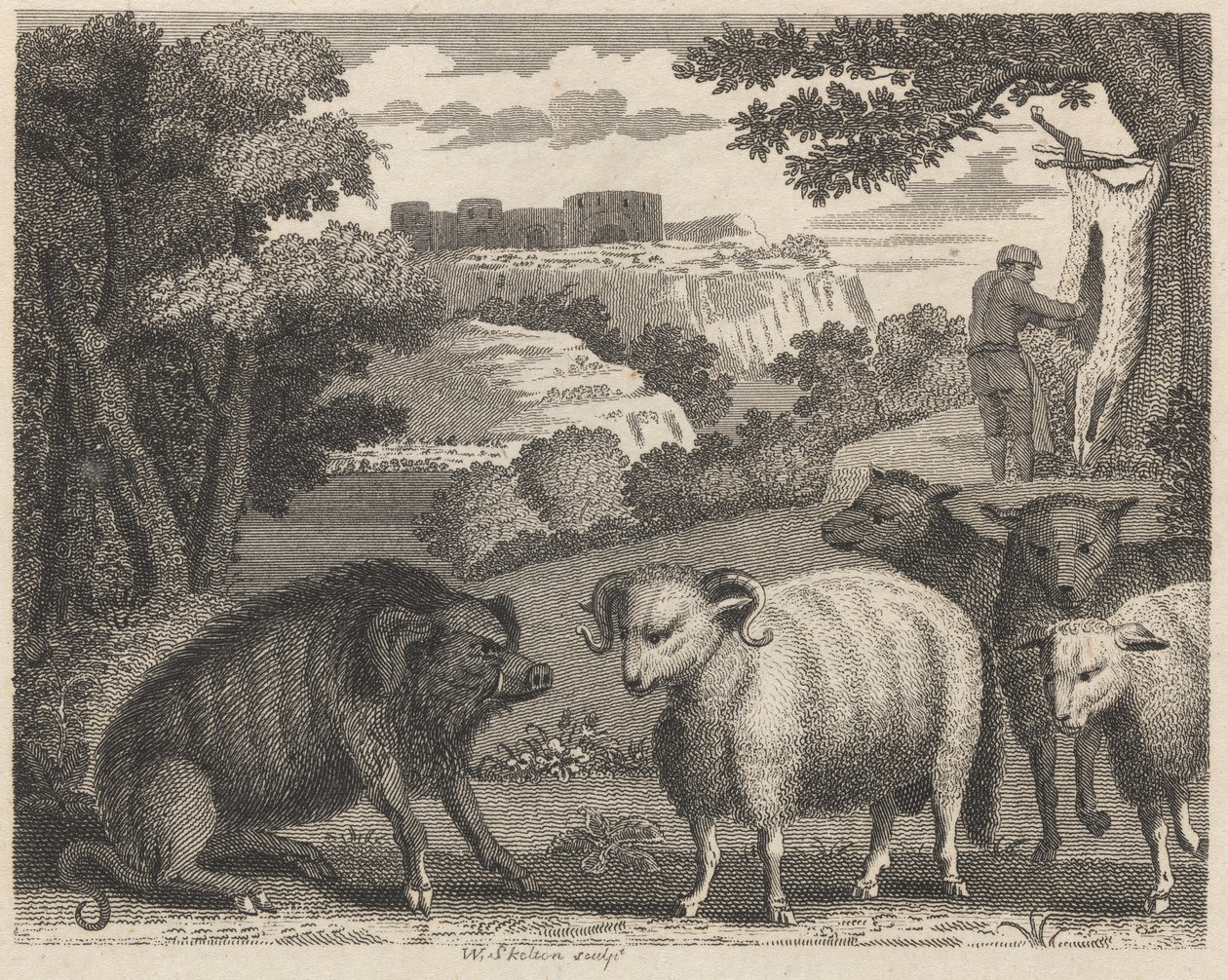 Vildsvinet och baggen av William Skelton