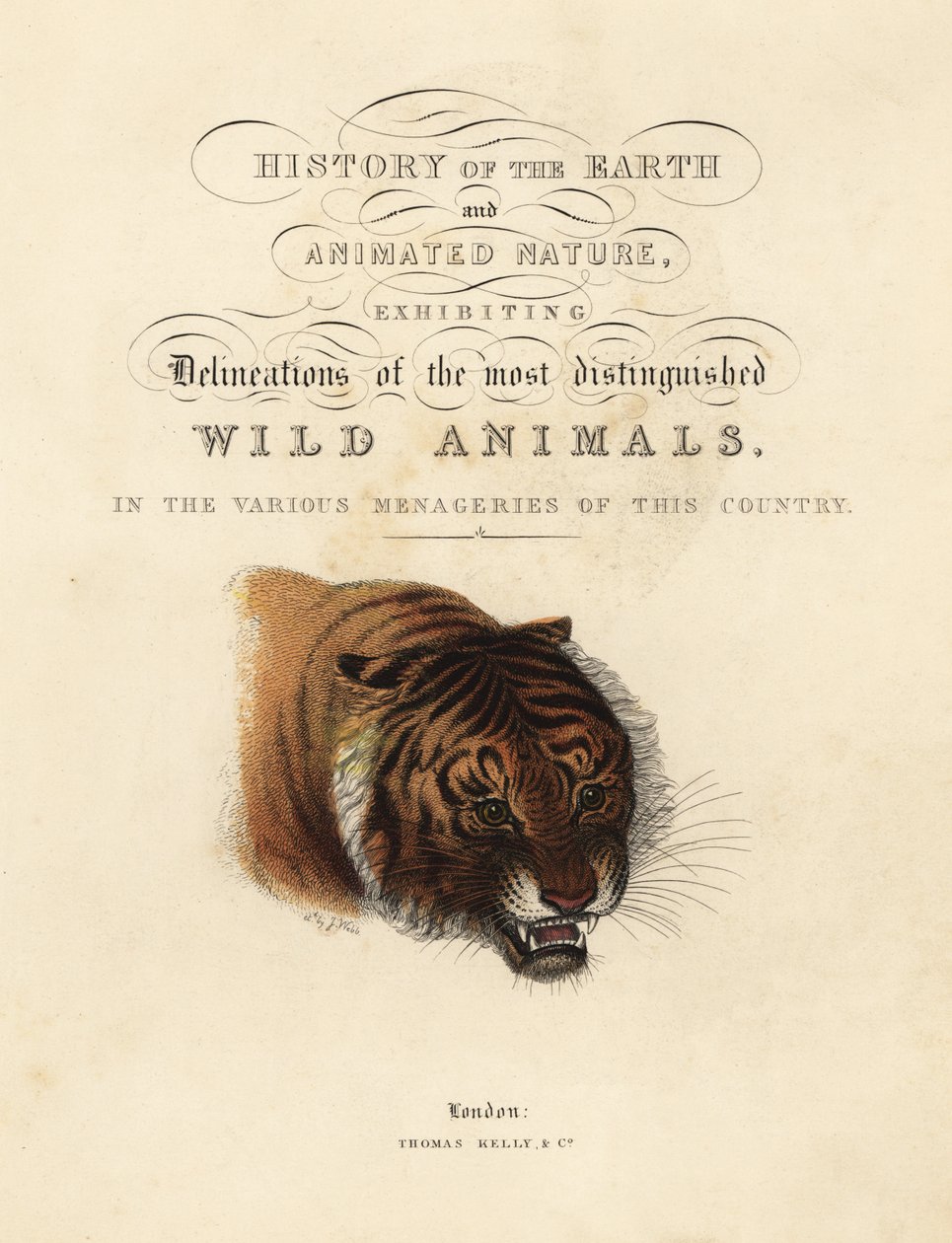 Kalligrafisk titelsida med vinjett av tiger av William Smellie