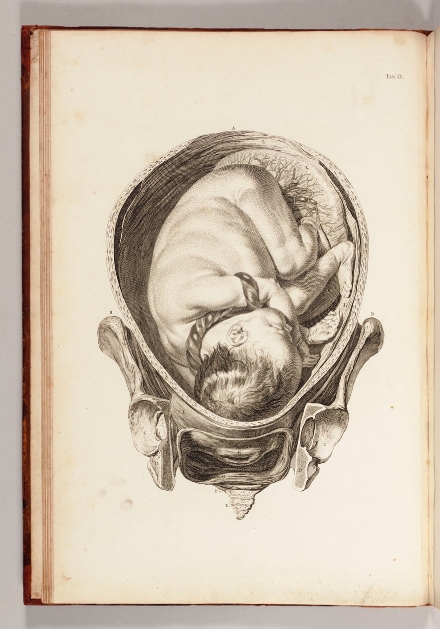 Gravyr av ett barn i livmodern från "En uppsättning anatomiska tabeller, med förklaringar och en förkortning av barnmorskepraktiken", 1754 av William Smellie