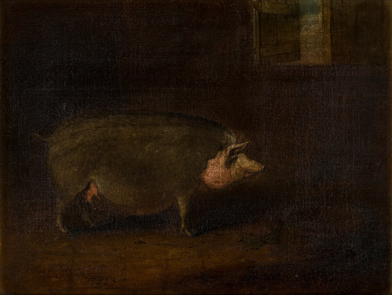 A Pig in a Sty, ca 1823 (olja på duk) av William Smith