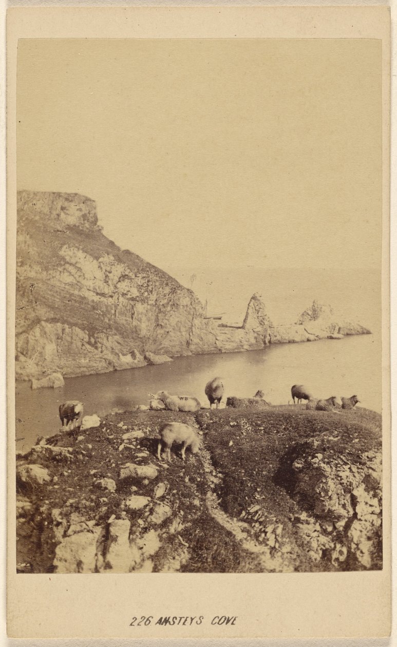 Ansteys Cave. av William Spreat