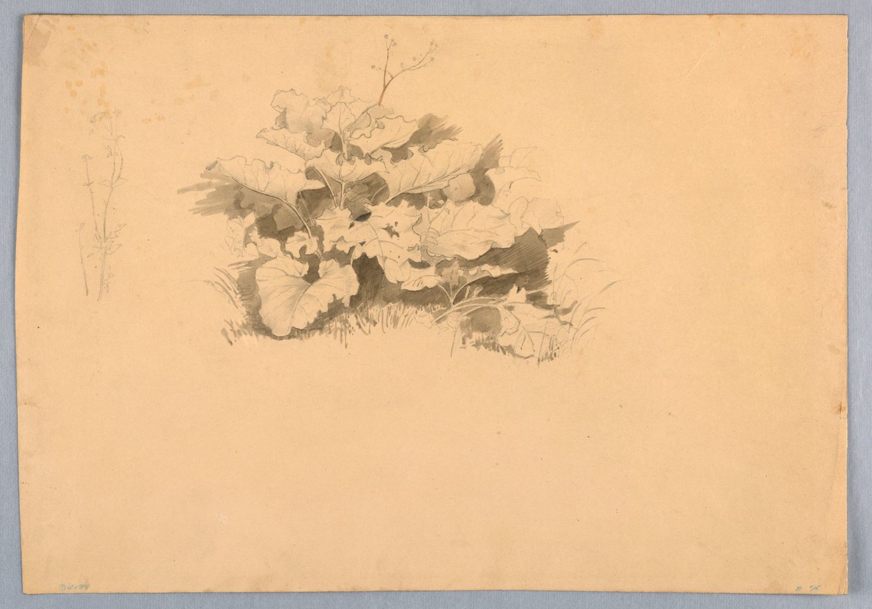 Studie av lövverk av William Stanley Haseltine