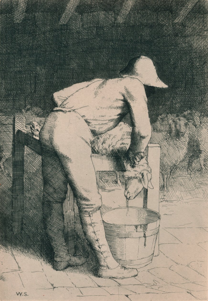 Slaktaren och fåren, c1916 av William Strang