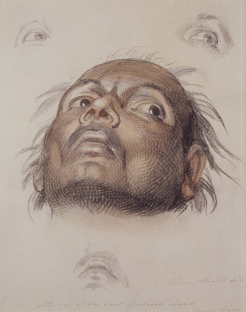 Studie av ett ostindiskt huvud, ca 1875 (krita och tvätt på papper) av William Strutt