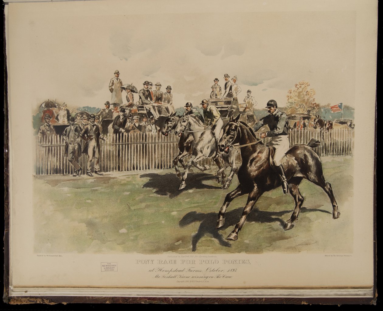 Ponnylopp för poloponnyer av William Sullivant Vanderbilt Allen
