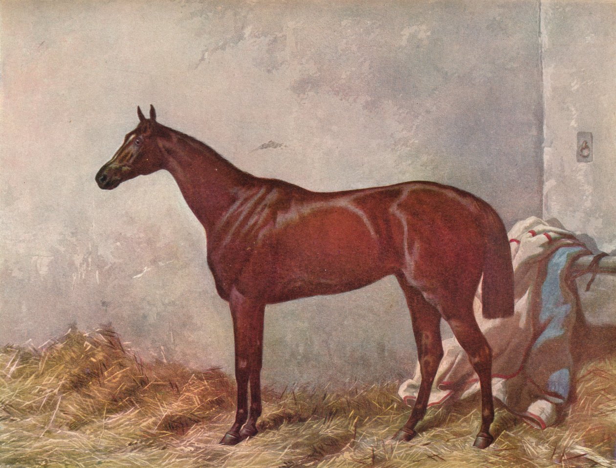 Eremit: vinnare av Derby Stakes i Epsom, 1867, 1903 av William Summers