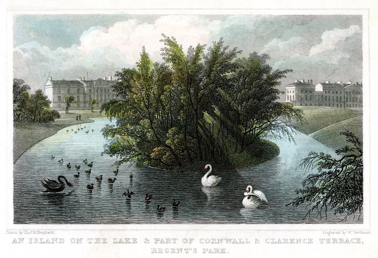 Ö vid sjön och en del av Cornwall och Clarence Terraces, Regents Park, London, 1828. av William Tombleson