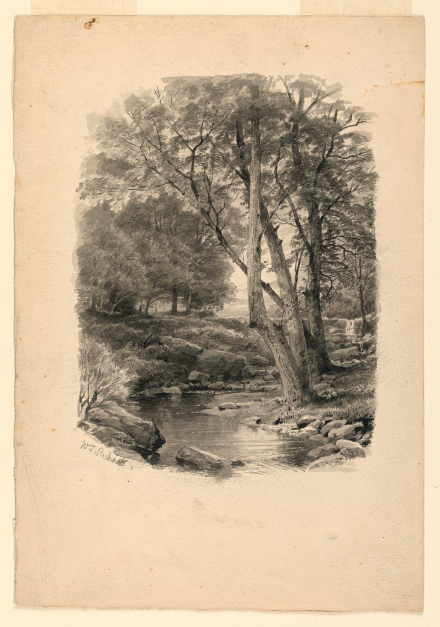 Teckning, Bassäng i skogen, 1874 av William Trost Richards