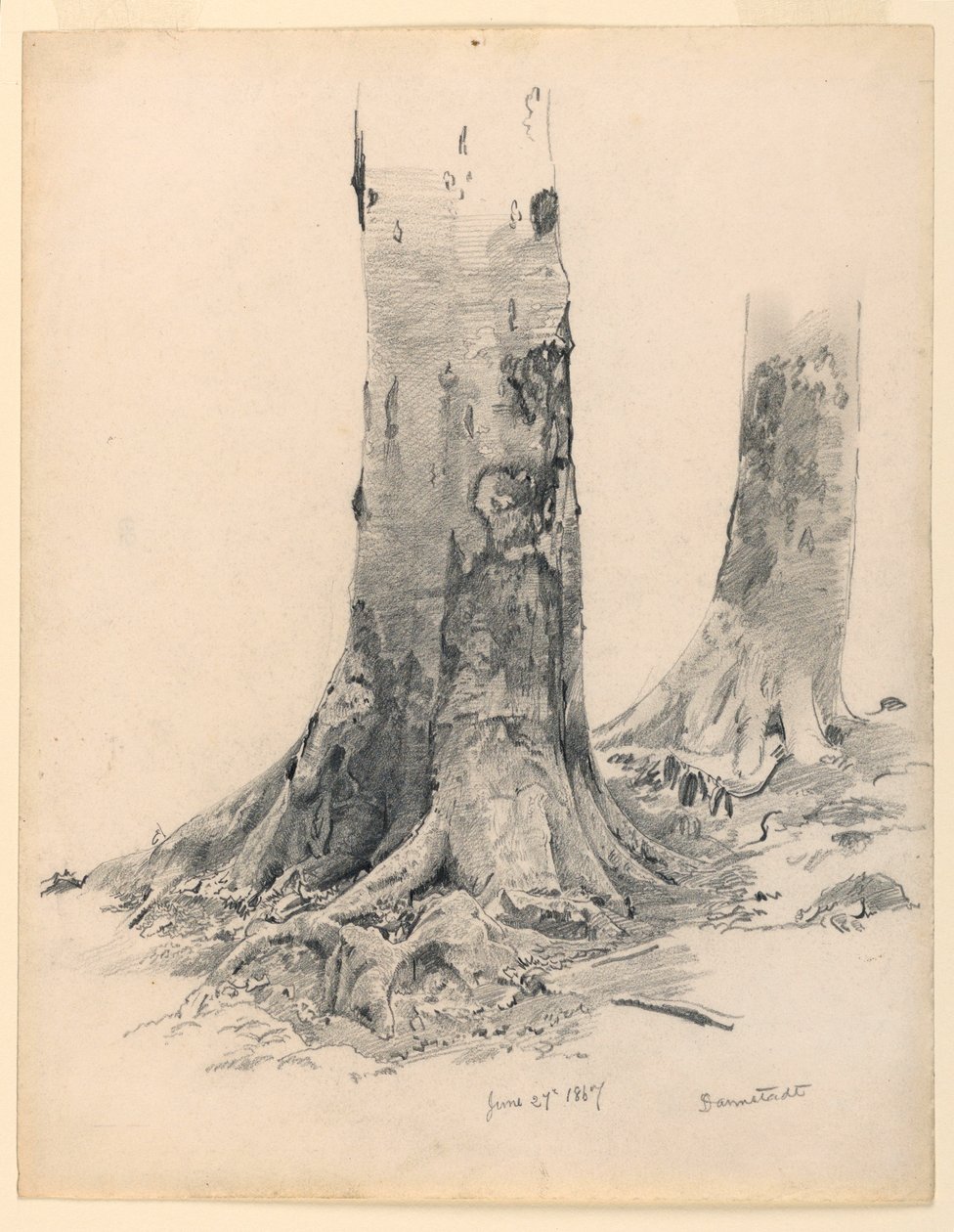 Teckning, trädstammar, Darmstadt, 27 juni 1867 av William Trost Richards