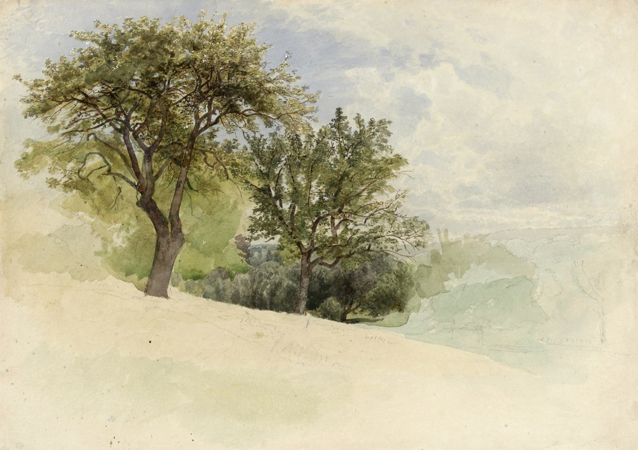 Landskab med træer på en bakkeskråning, 1880-85 (wc, grafit og strejf af hvid gouache på creme kraftigt vævet papir) av William Trost Richards