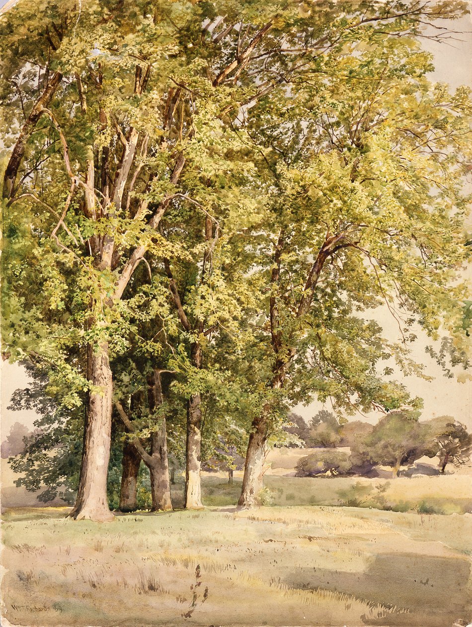 Lönnar i Chester County, Pennsylvania av William Trost Richards