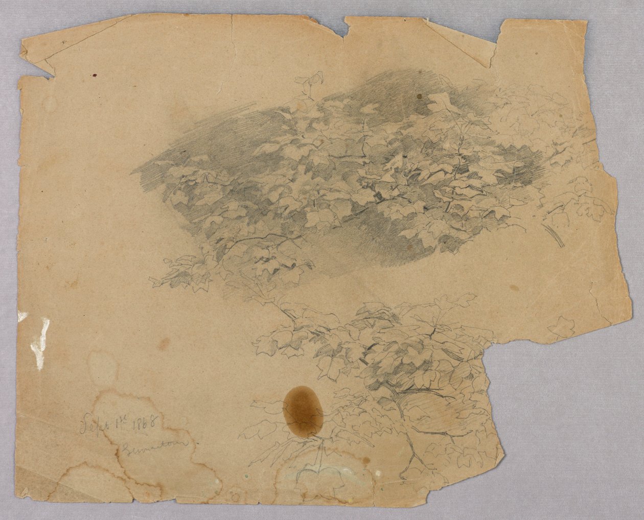 Studie av lövverk av William Trost Richards