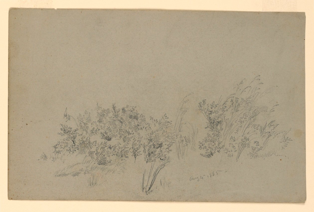 Studie av lövverk av William Trost Richards