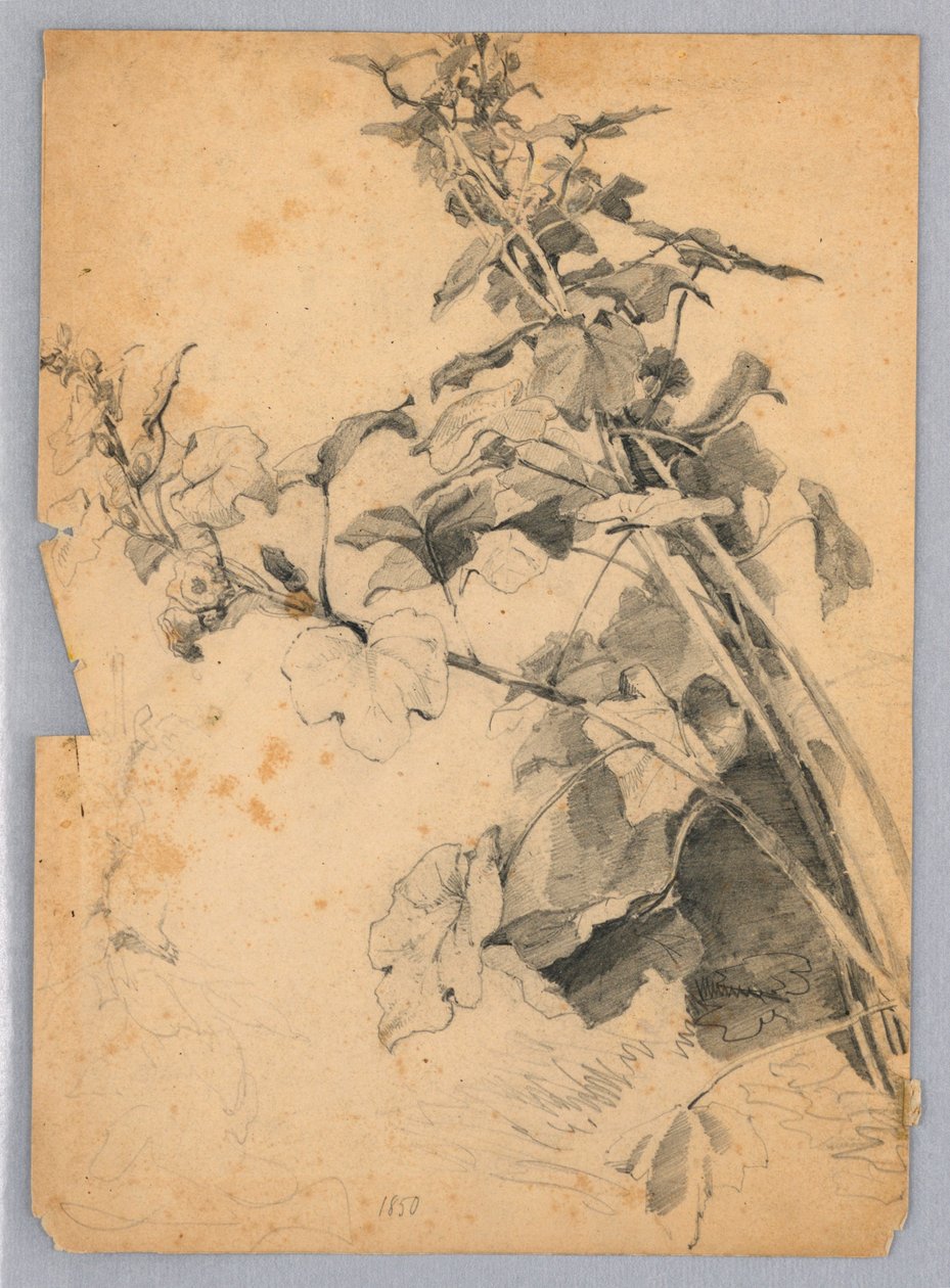 Studie av lövverk av William Trost Richards