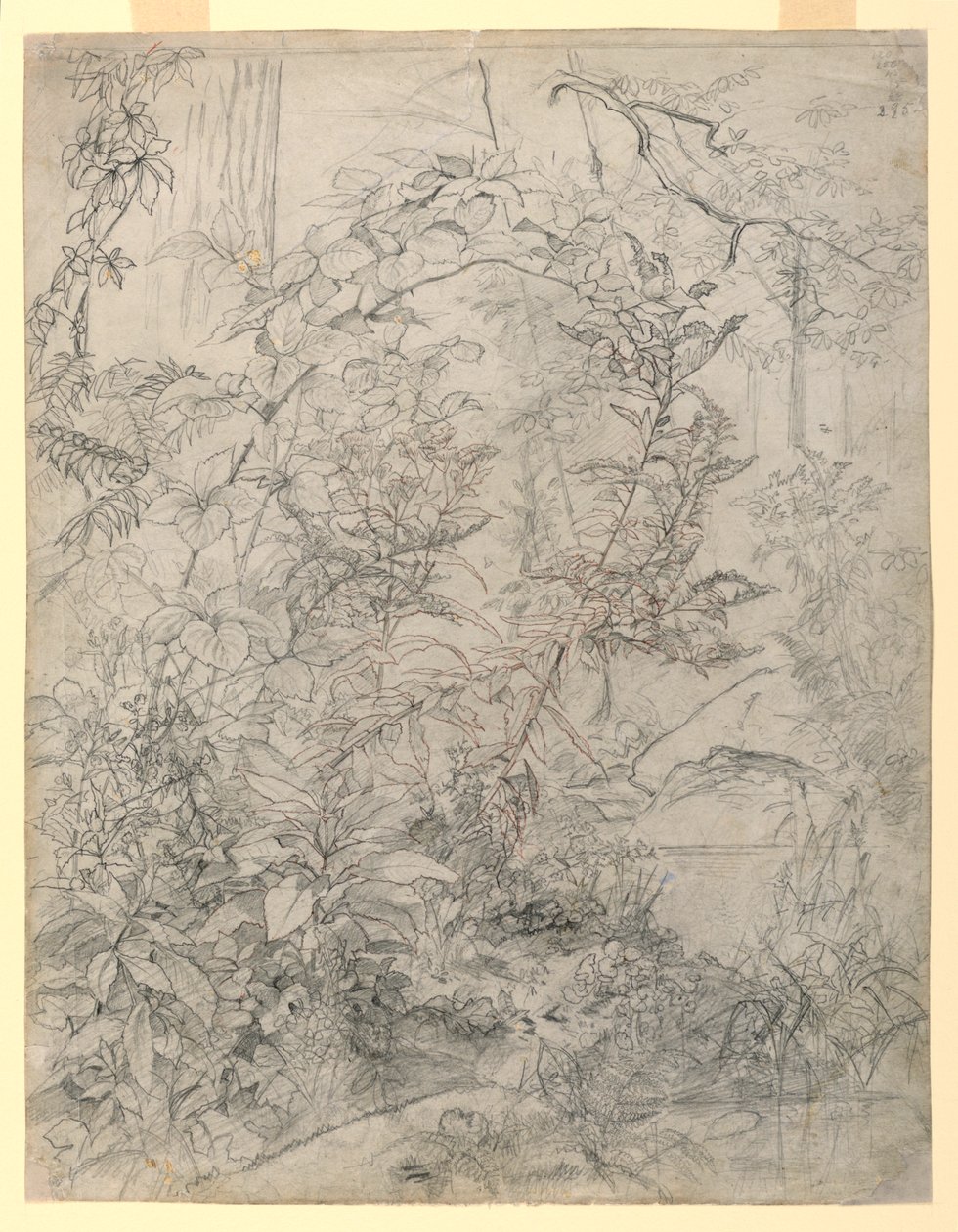 Studie av lövverk av William Trost Richards
