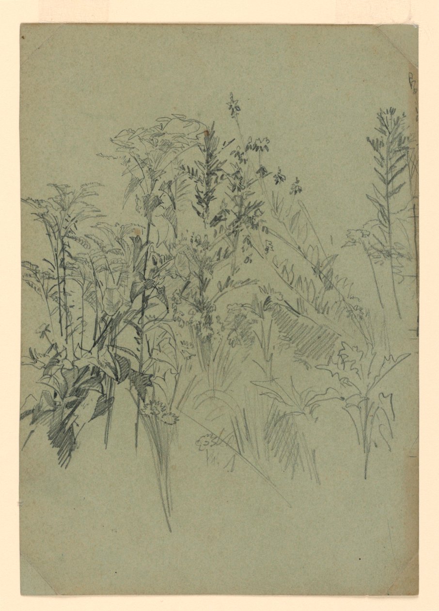 Studie av lövverk av William Trost Richards