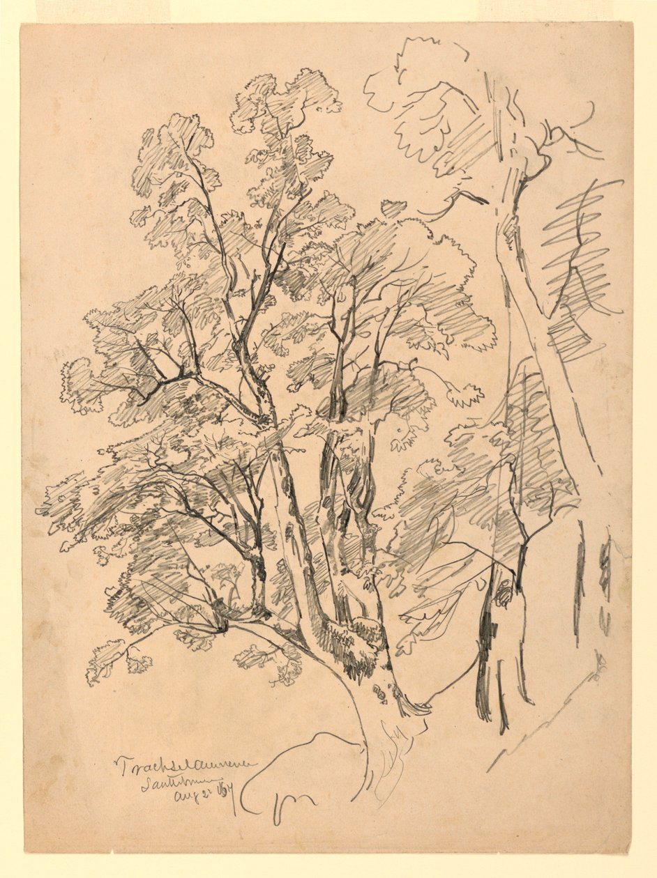 Studie av lövverk, Trachselwald, Bern, Schweiz av William Trost Richards