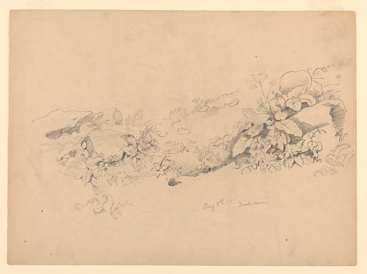 Studie av lövverk, Trachselwald, Bern, Schweiz av William Trost Richards