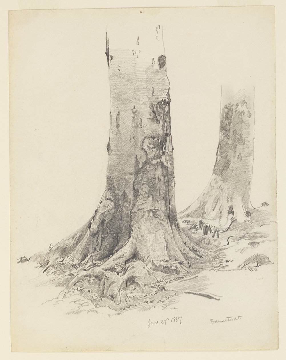 Trädstammar, Darmstadt av William Trost Richards