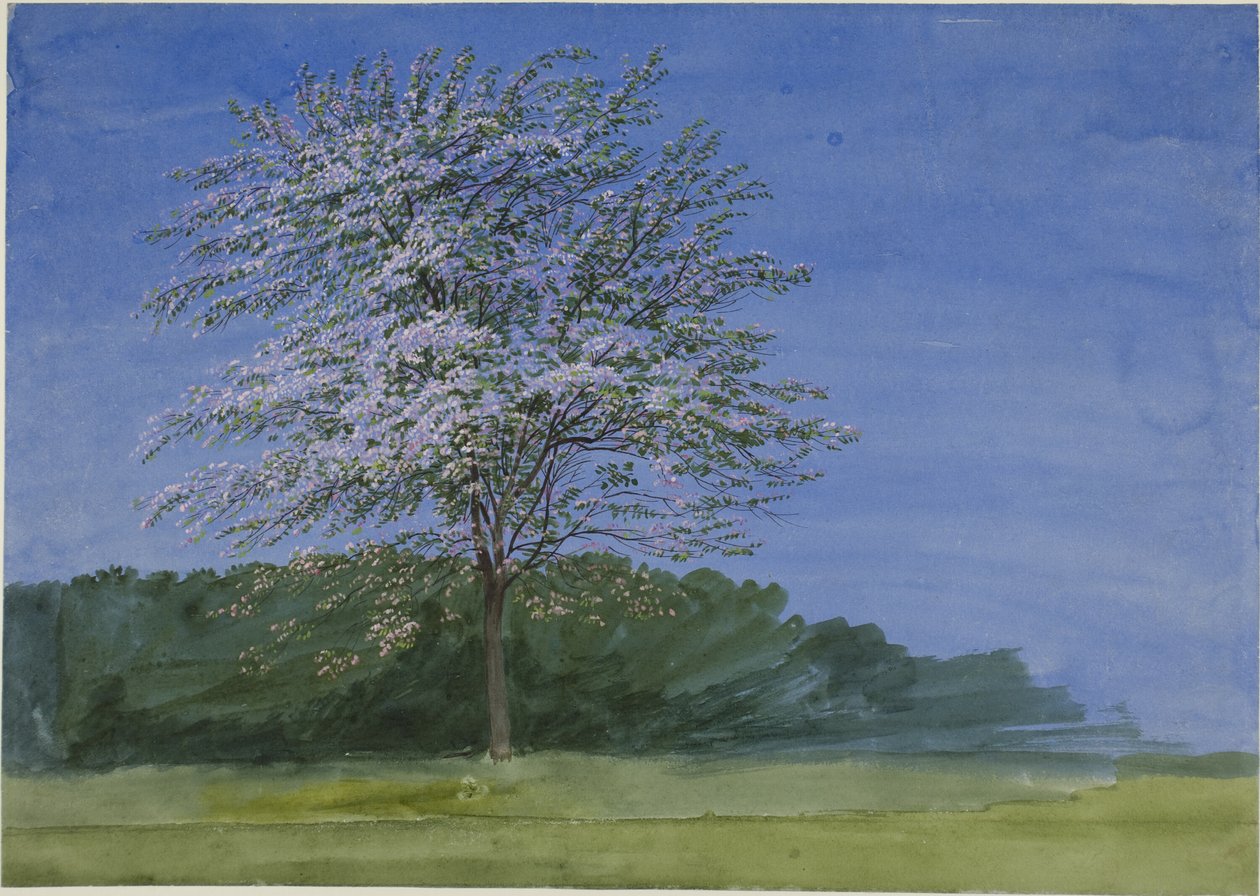 Studie av ett träd i blom av Joseph Mallord William Turner