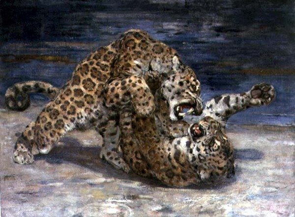Leopards Fighting, ca 1910 (olja på duk) av William Walls