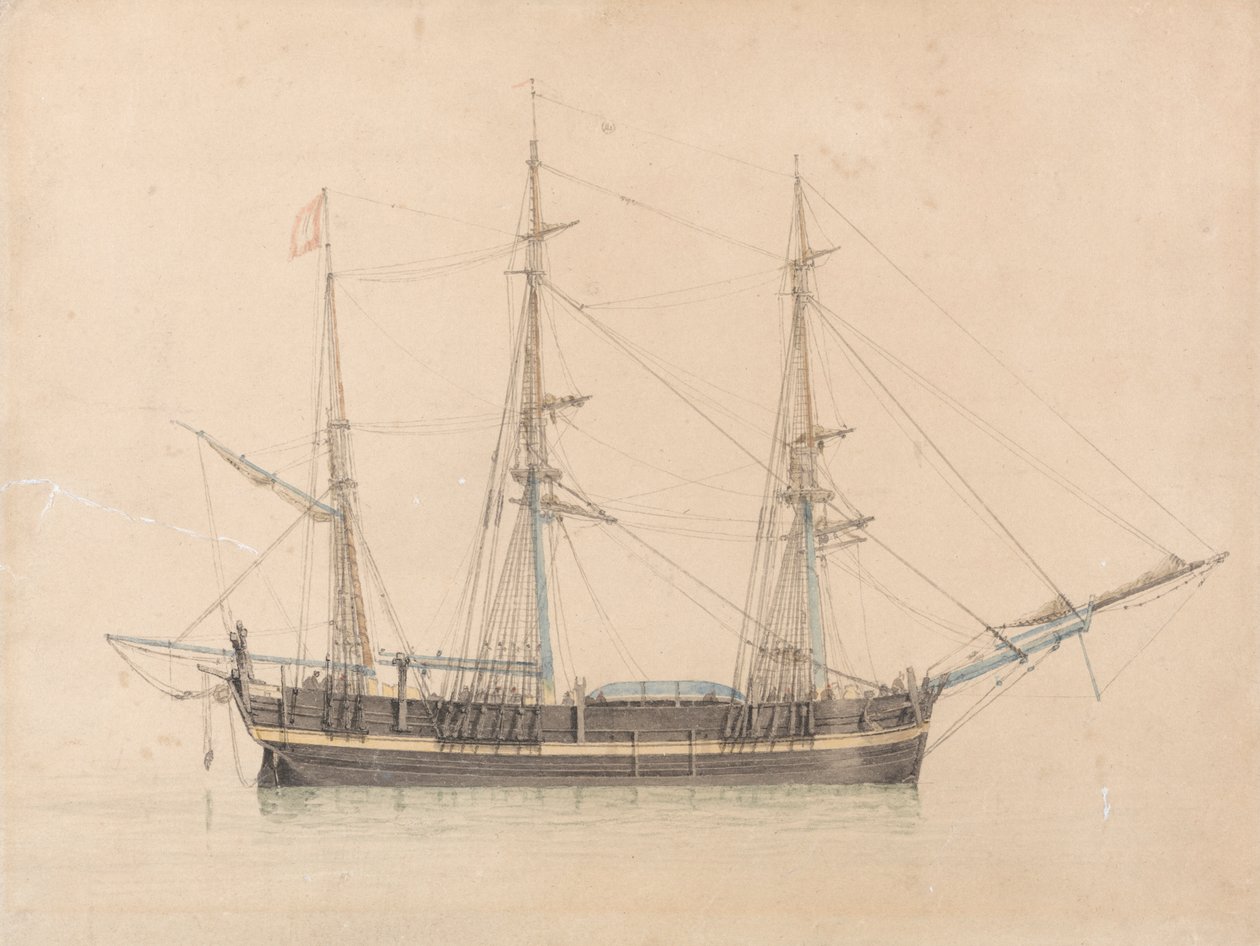 Valfångaren "Truelove" från Hull av William Ward