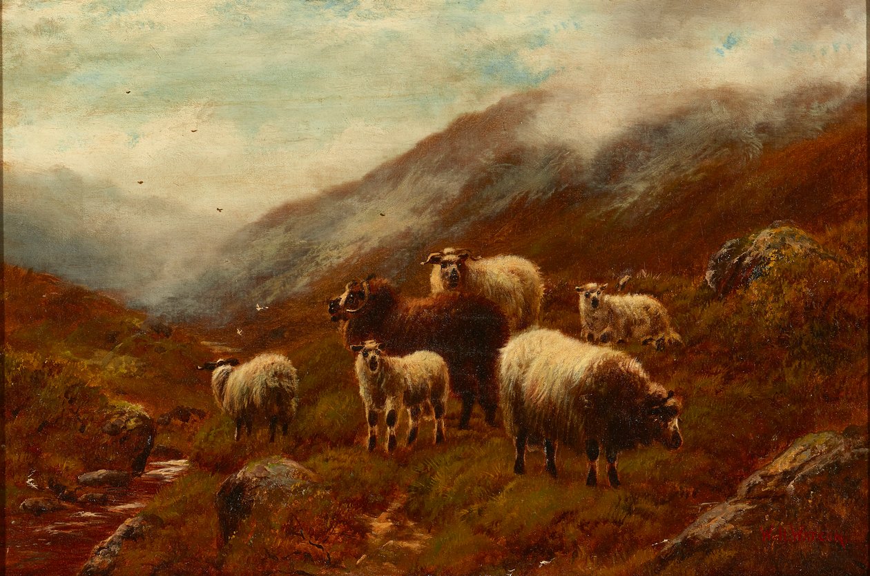 Highland Sheep On a Hillside (olja på duk) av William Watson