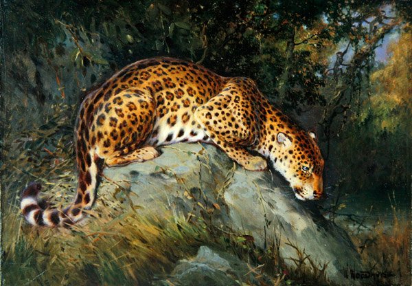 A Leopard Crouching on a Rock (olja på duk ombord) av William Woodhouse