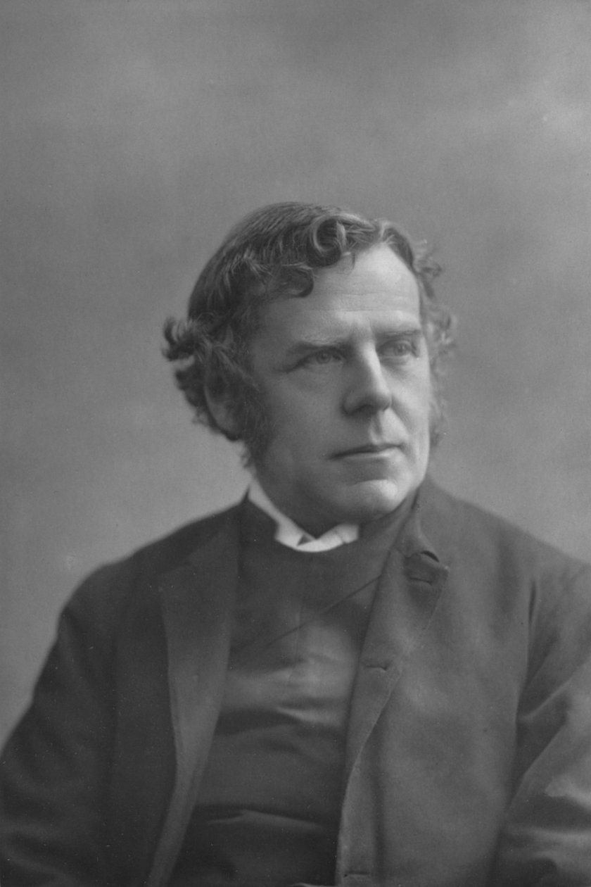 Biskopen av Ripon, c1891 av William and Daniel Downey