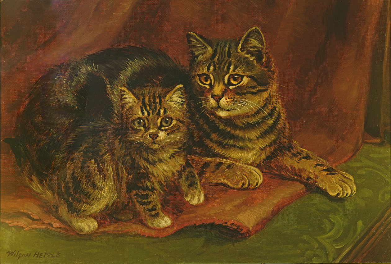 En tabbykatt med en kattunge av Wilson Hepple