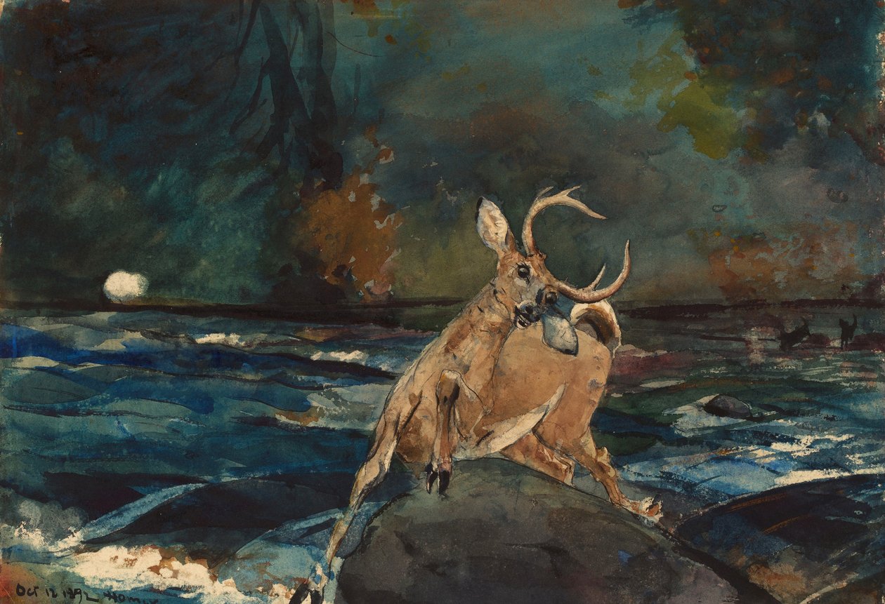 A Good Shot, Adirondacks av Winslow Homer