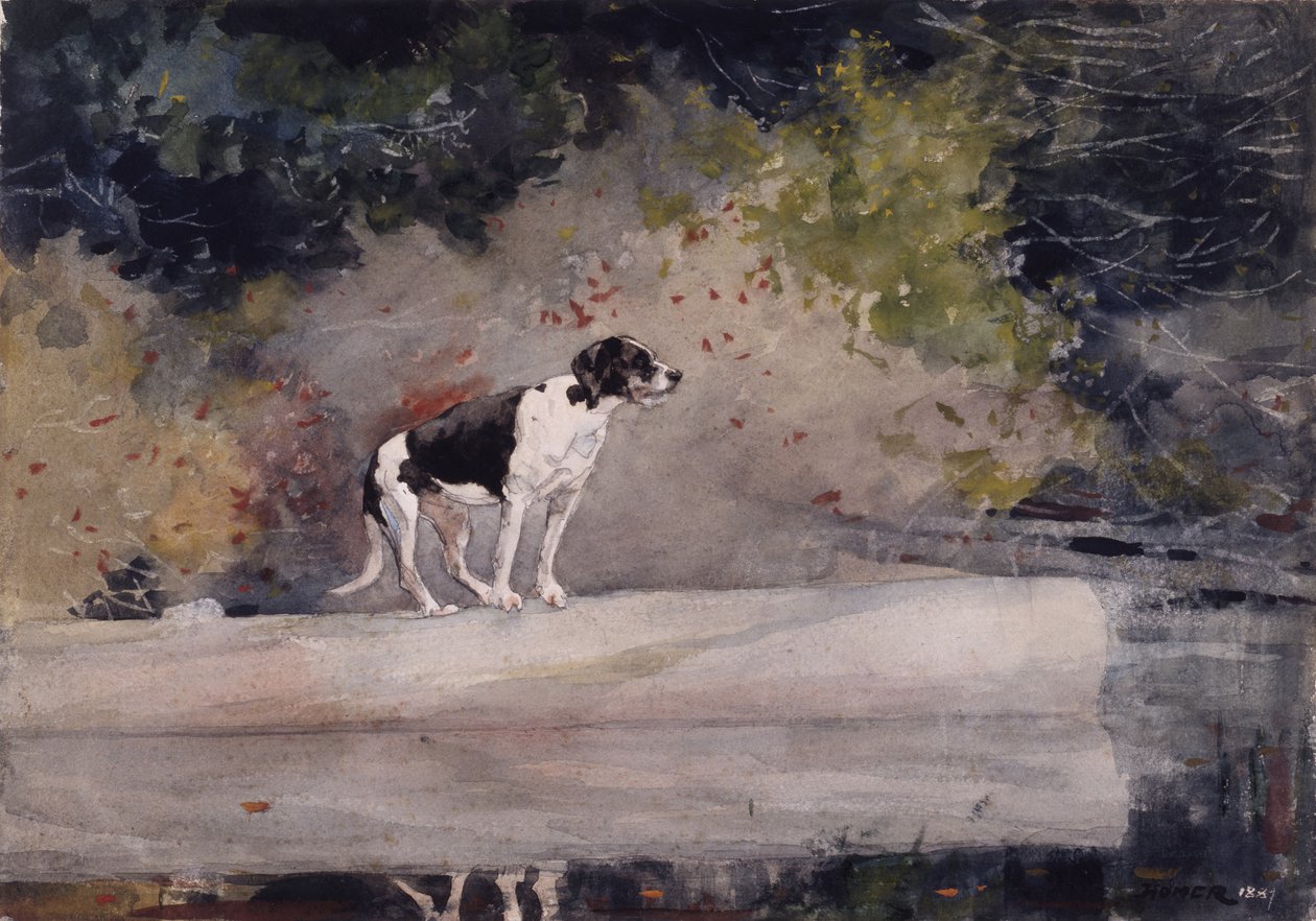 Hund på en stock, 1889 av Winslow Homer