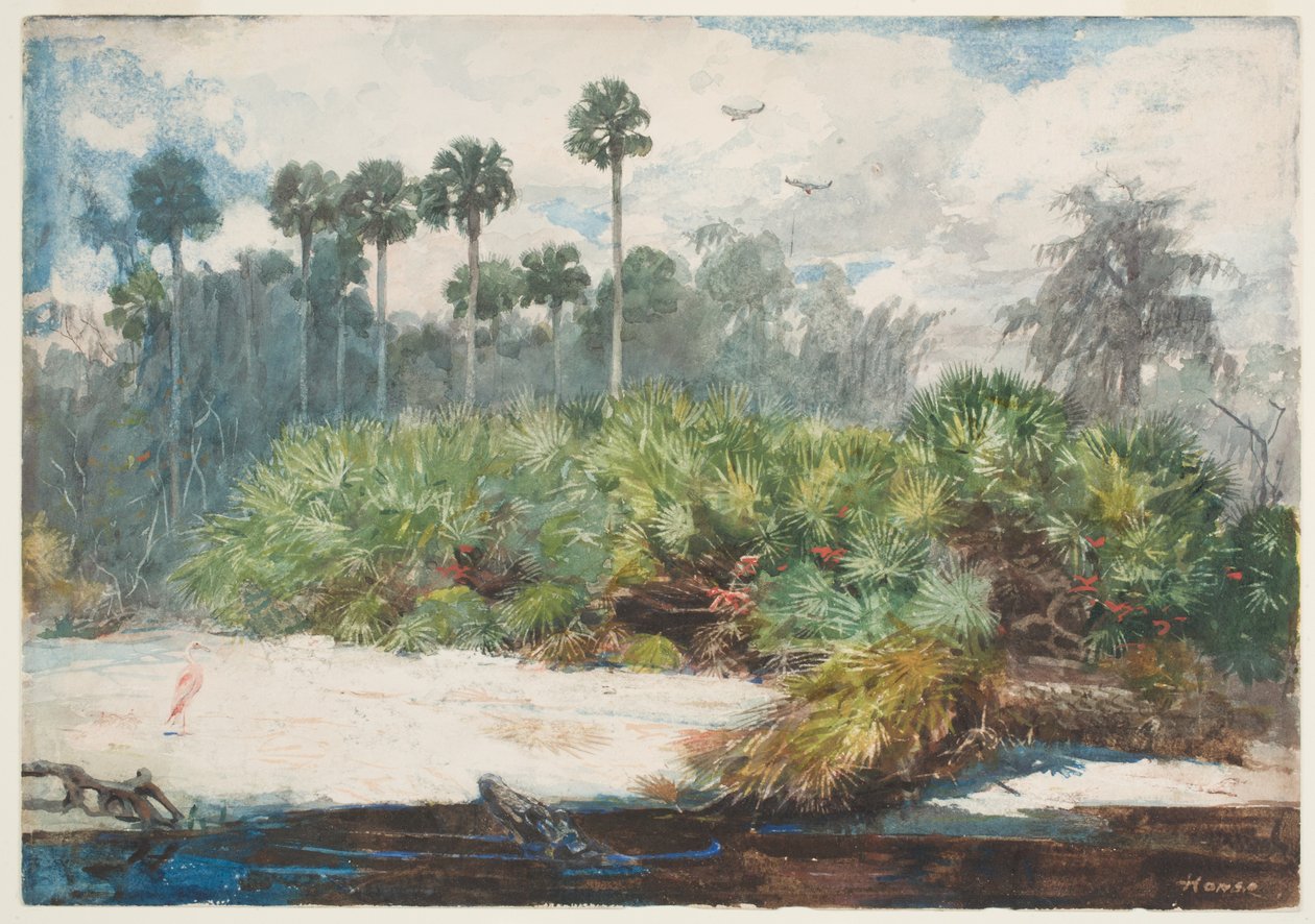 In a Florida Jungle (wc over graphite on paper) av Winslow Homer