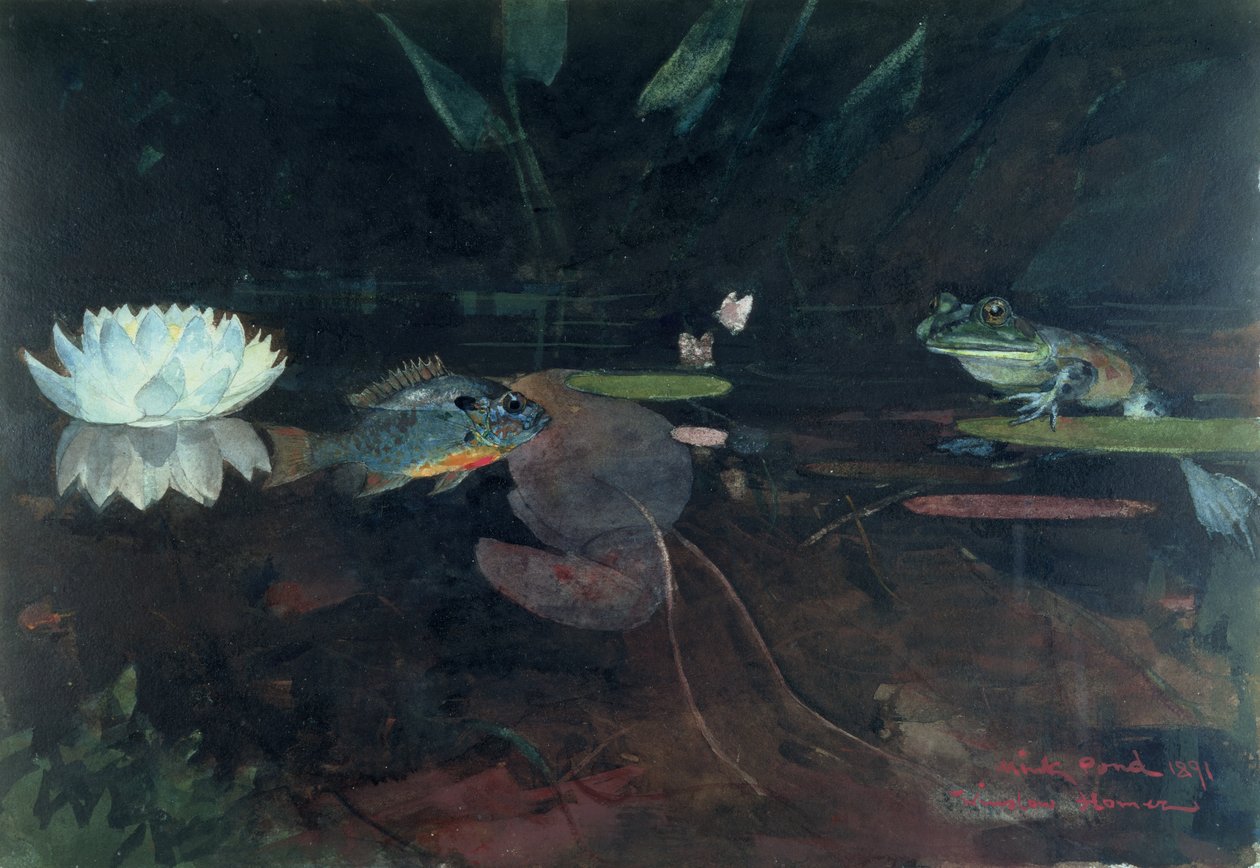 Mink Pond, 1891 (wc över grafit på papper) av Winslow Homer
