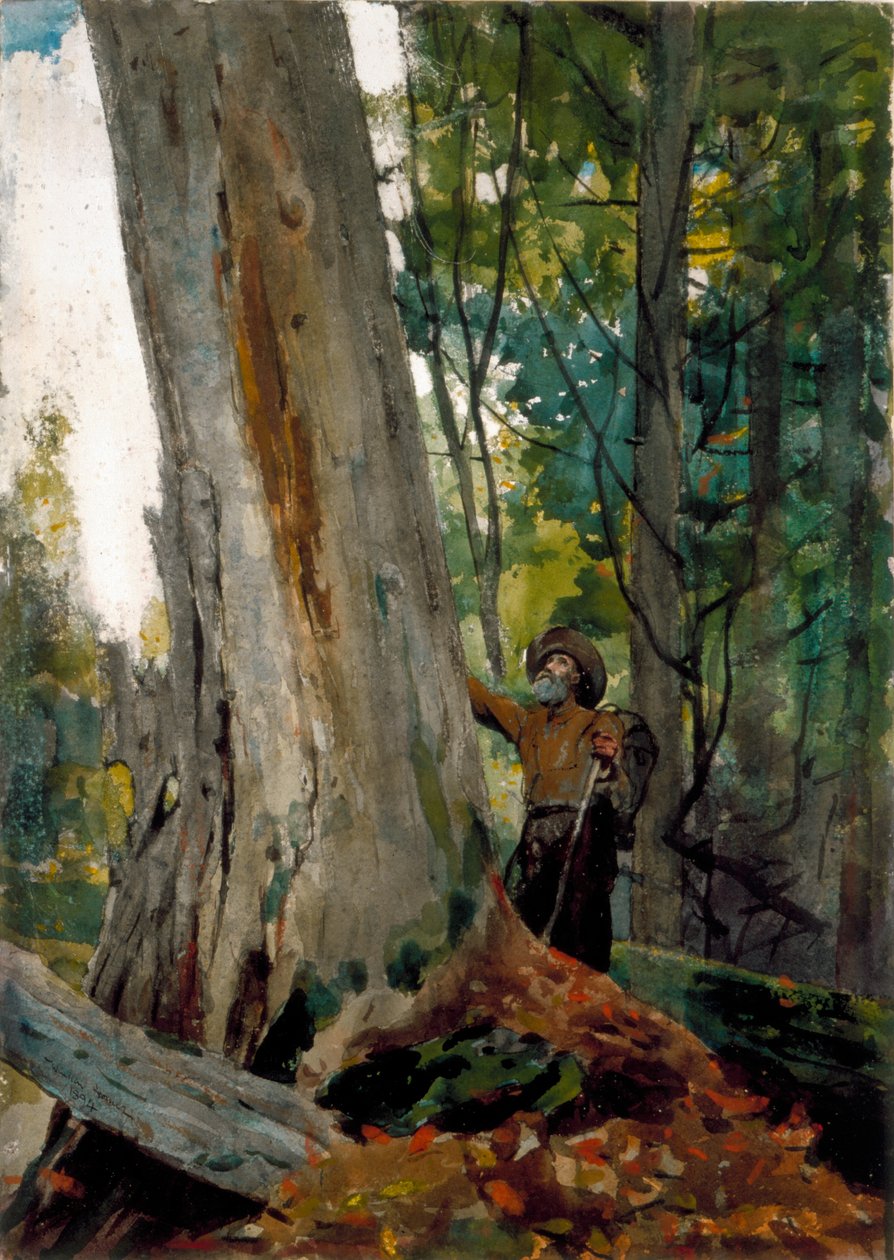 Old Friends, 1894 (wc over pencil on paper) av Winslow Homer