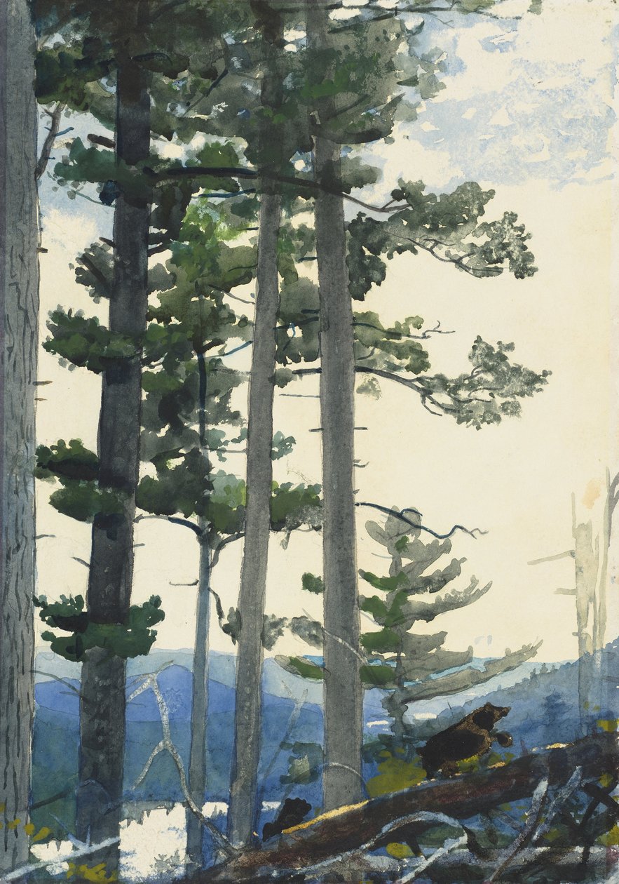 Gamla nybyggare av Winslow Homer